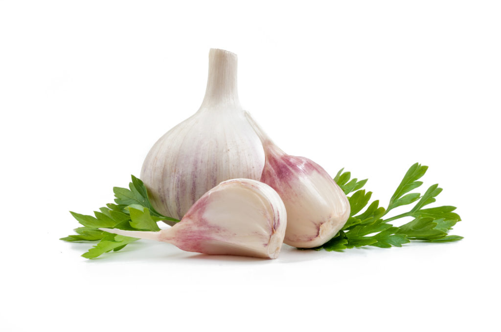 Den Traum die Parasiten zu töten