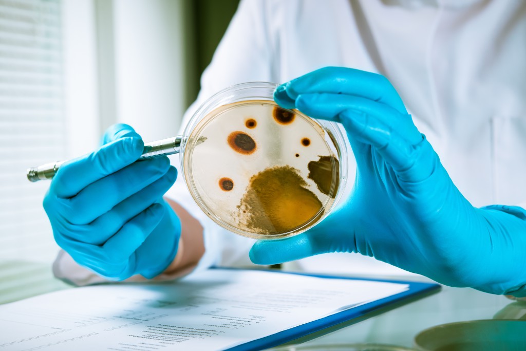 Keime auf Tastaturen und PC-Mäusen. Bild: Alexander Raths - fotolia