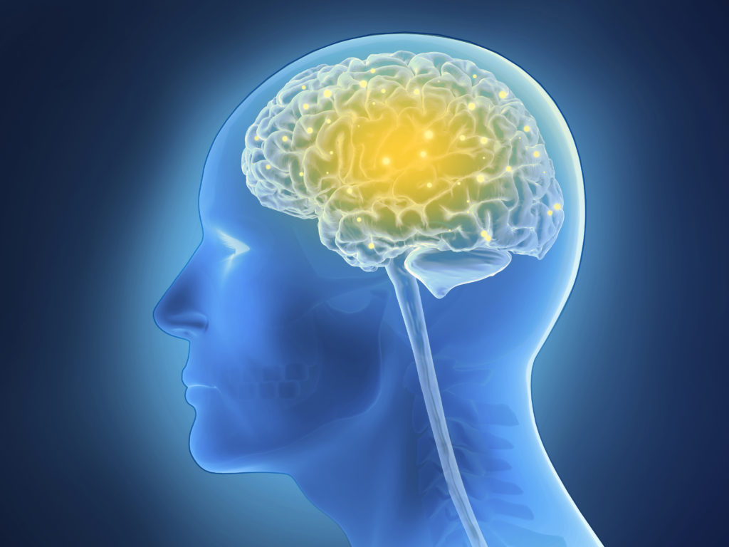 ZNS-Lymphome sind besonders schwer zu behandelnde, aggressive Hirntumore, gegen die nun ein neuer Therapieansatz getestet wurde. (Bild: adri76/fotolia.com)
