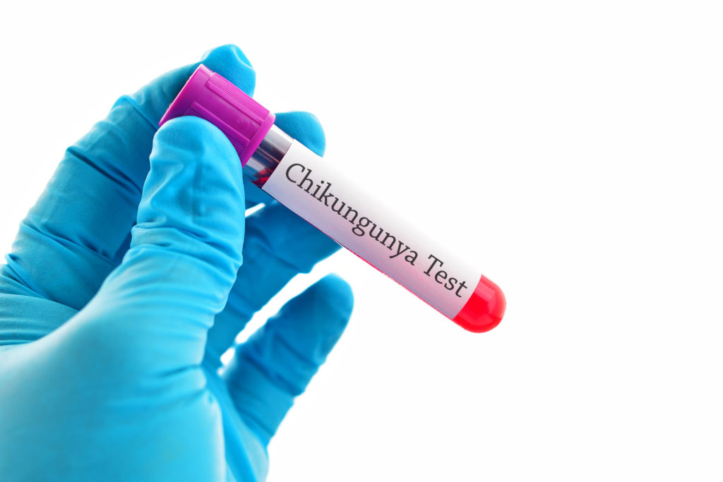 Mit einer innovativen Herangehensweise haben Forscher neue Behandlungsmöglichkeiten gegen Chikungunya-Infektionen entdeckt, die auch gegen andere pathogene Viren eingesetzt werden könnten. (Bild: jarun011/fotolia.com)