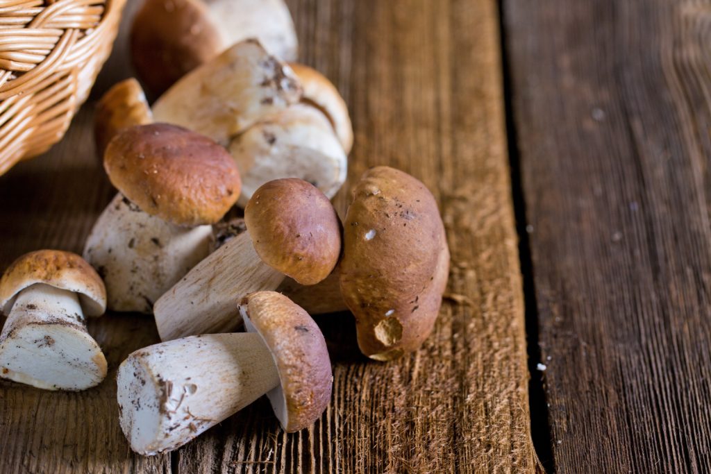 Da bestimmte Wildpilze natürlicherweise Schwermetalle wie Quecksilber aus den Böden herausfiltern, sind sie damit stärker belastet als andere Lebensmittel. Bei regelmäßigem Verzehr ist daher Vorsicht geboten. (Bild: Michael Tewes/fotolia.com)