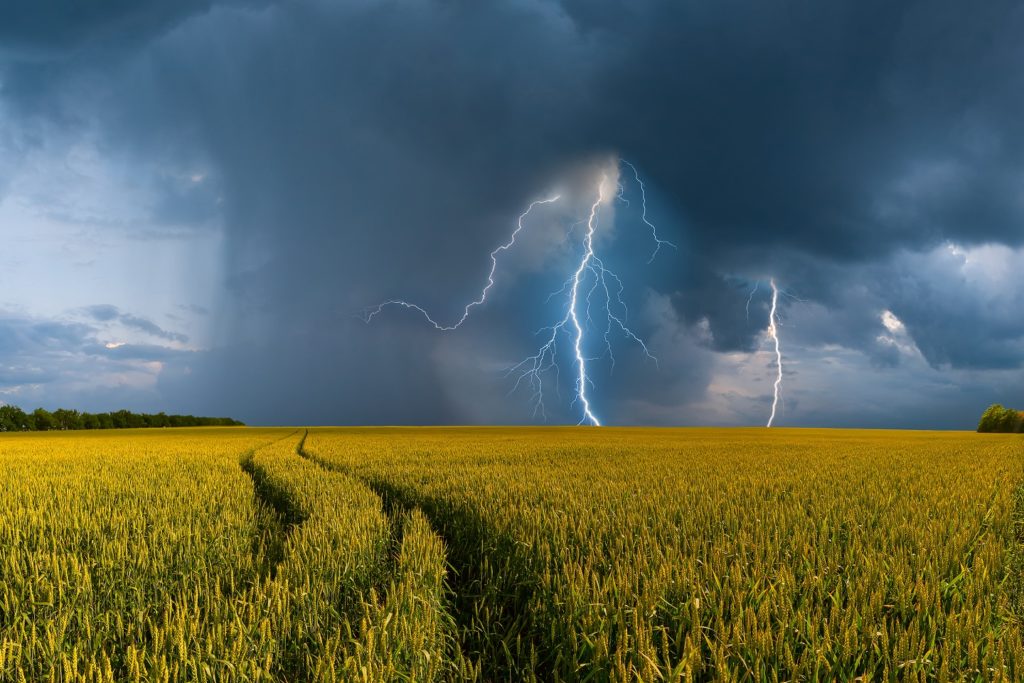Starke Unwetter können bei Allergikern und Asthmatikern schwere gesundheitliche Folgen haben. (Bild: firewings/fotolia.com)