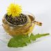 Löwenzahn-Tee ist ein bewährtes Hausmittel, um den Körper bei Durchfall mit Eisen zu versorgen. (Bild: superfood/fotolia.com)