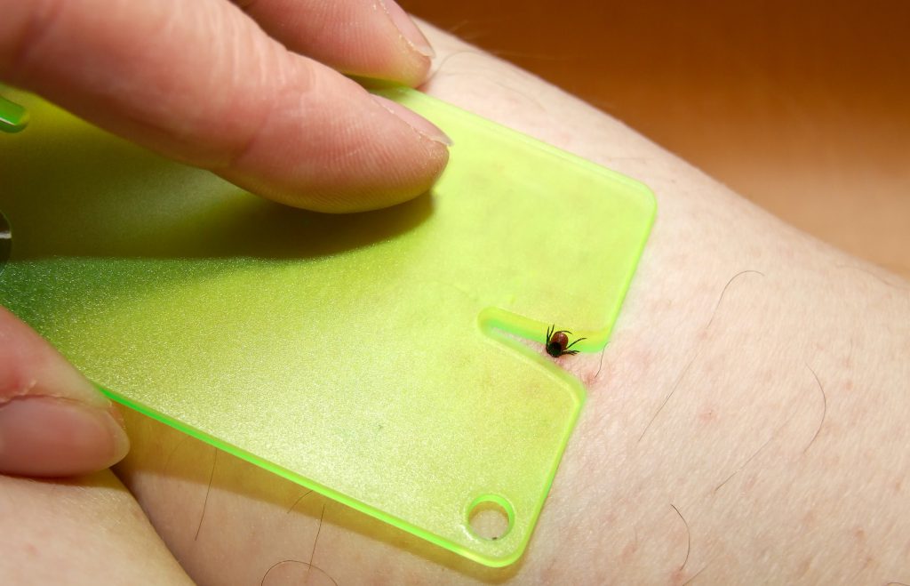 Beim Entfernen von Zecken sollte deren Körper nicht gequetscht werden, damit sie keine zusätzlichen Stoffe und Krankkheitserreger in die Wunde abgeben. Hier sind sogenannte Zeckenkarten ein nützliches Hilfsmittel. (Bild: Carola Vahldiek/fotolia.com)