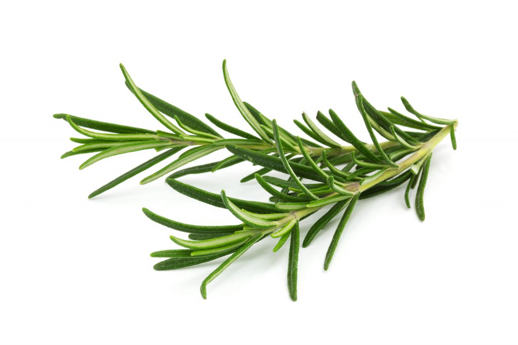 Rosmarin kann bei Kopfschmerzen infolge eines niedrigen Blutdrucks helfen. (Bild: Digitalpress/fotolia.com)