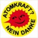 Am Montag finden in ganz Deutschland Protestaktionen für den sofortigen Ausstieg aus der Atomenergie statt.