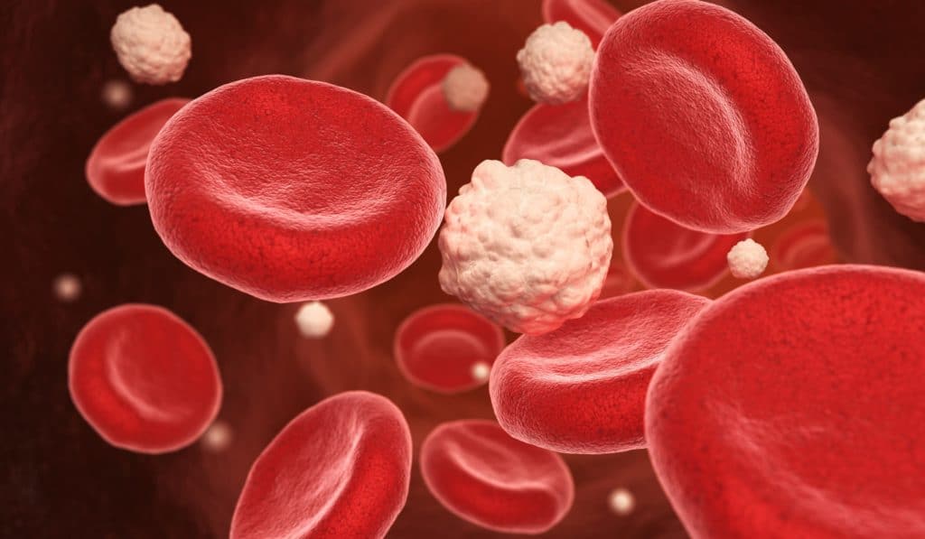 Mikroskopische Darstellung von Blutzellen und Glukose.