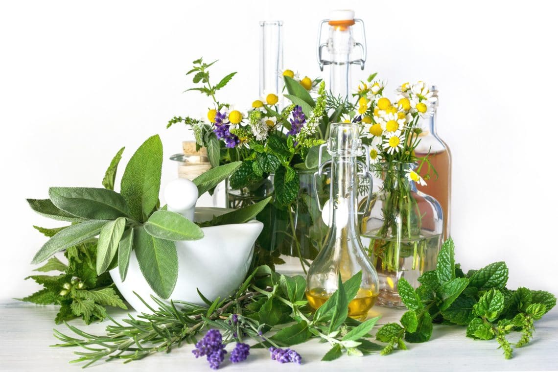 Naturheilmittel der Naturheilkunde selbst anbauen – Naturheilkunde
