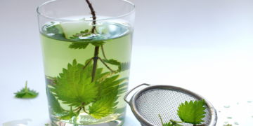Ob als Tee oder im Salat: Brennnesseln enthalten viel Eisen und können einen Mangel auf natürliche und schonende Weise ausgleichen. (Bild: nelje/stock.adobe.com)