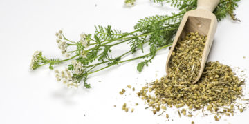 Schafgarbe wirkt entzündungshemmend und kann daher gut zur natürlichen Behandlung eines Furunkels eingesetzt werden. (Bild: Birgit Brandlhuber/stock.adobe.com)