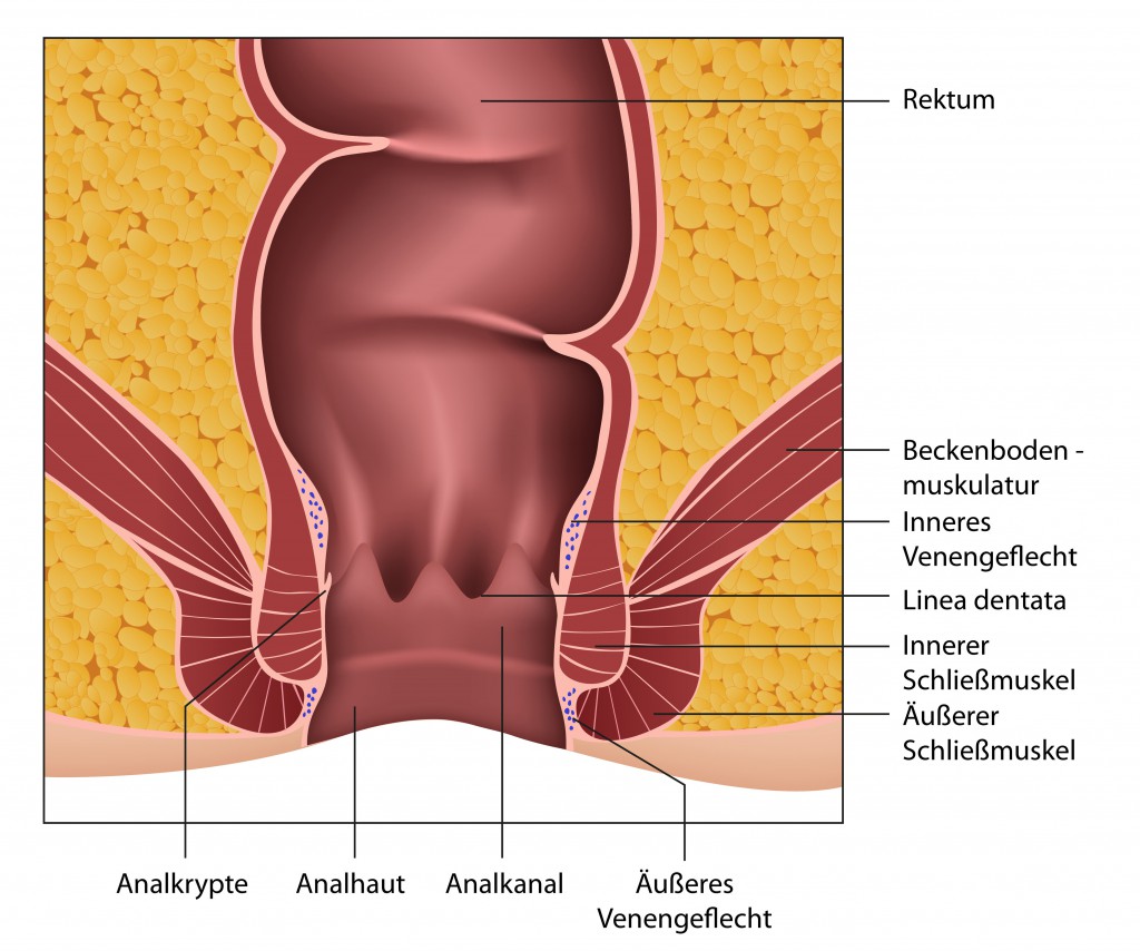 hefe infektion anal