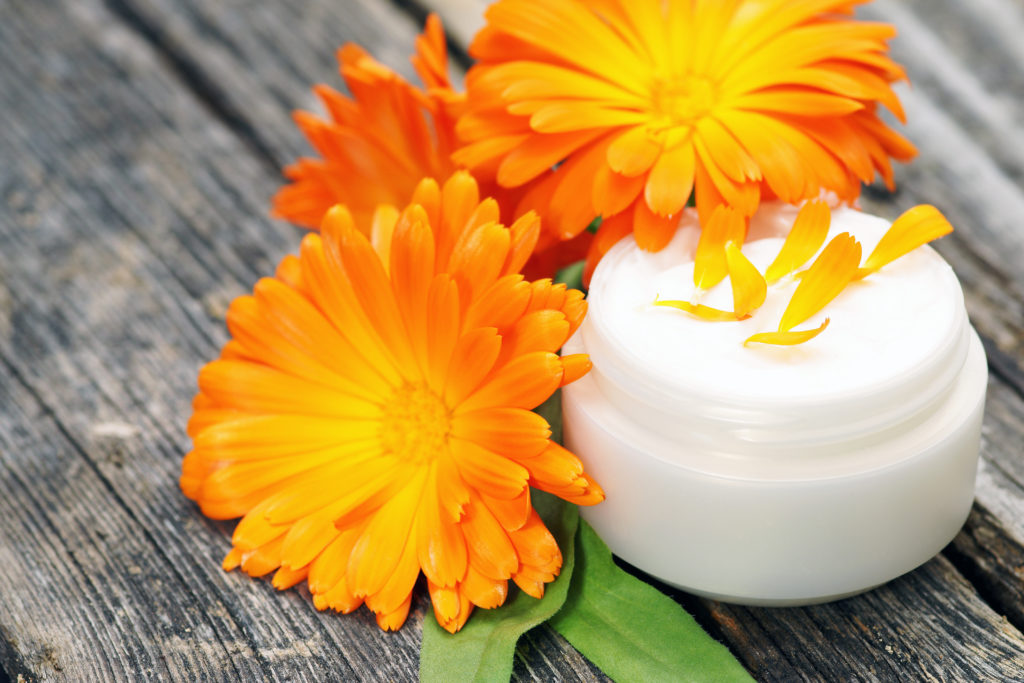 Ringelblumen-Salbe