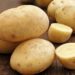 Wirkungsvoll kann es sein, wenn die betroffenen Stellen mit einer halbierten Kartoffel abgerieben werden. (Bild: reinhard sester/fotolia.com)
