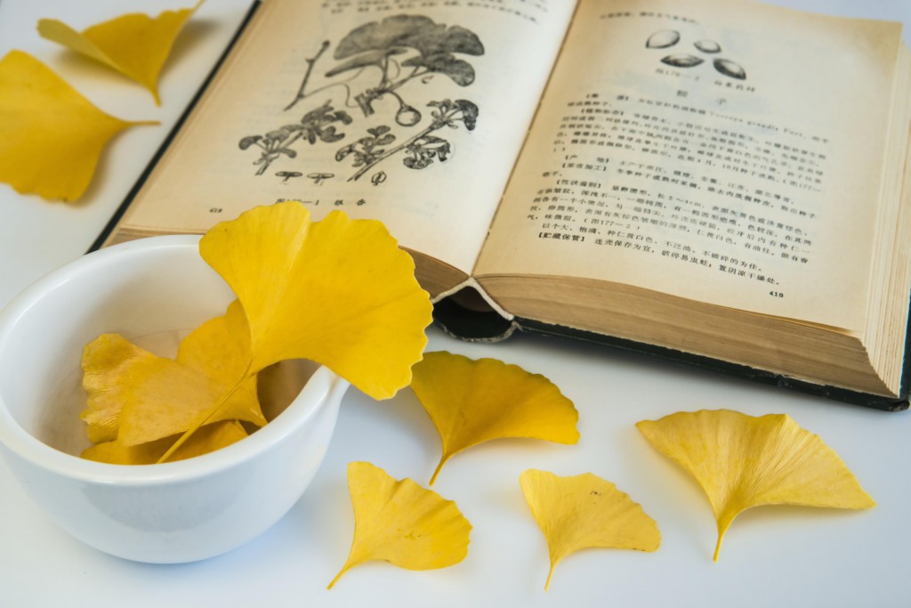 Gingko, asiatisches Heilmittel