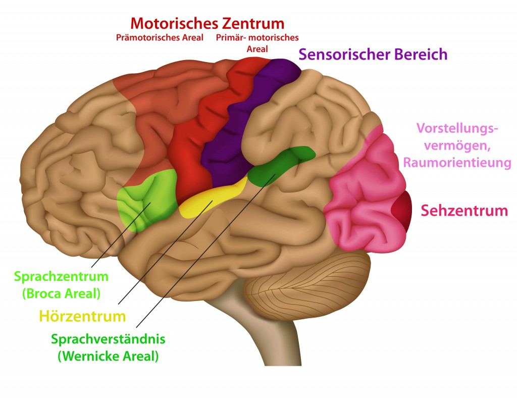 Kopfschmerzen: Ursachen und Behandlung – Naturheilkunde