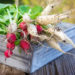 Reich an Vitamine und gesunden Inhaltsstoffen: Die Radieschen. Bild: fotoknips/fotolia