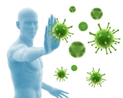 Immunsystem