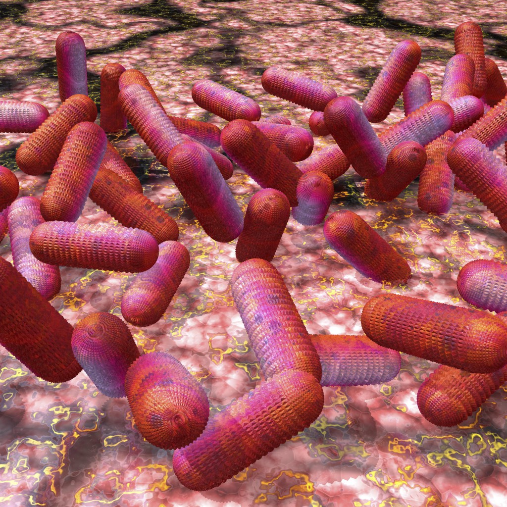 Digital visualization of EHEC bacteria