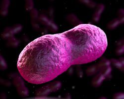 (Bild: decade3d/fotolia.com)