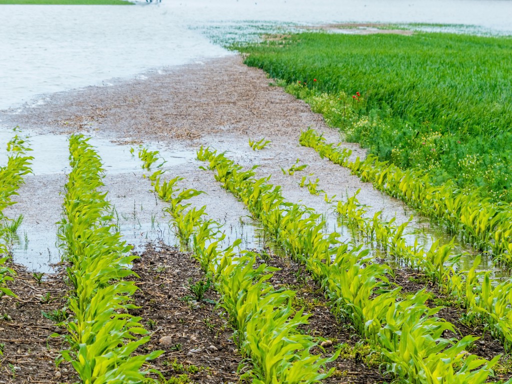 Der zunehmende Klimawandel gefährdet immer mehr die Gesundheit der Menschen. (Bild: Gina Sanders - fotolia)