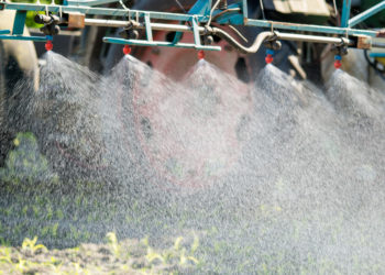 Glyphosat wird als Pflanzenschutzmiitel massenweise eingesetzt. Laut WHO ist es wahrscheinlich krebserregend. (Bild: countrypixel/fotolia.com)