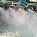 Glyphosat wird als Pflanzenschutzmiitel massenweise eingesetzt. Laut WHO ist es wahrscheinlich krebserregend. (Bild: countrypixel/fotolia.com)