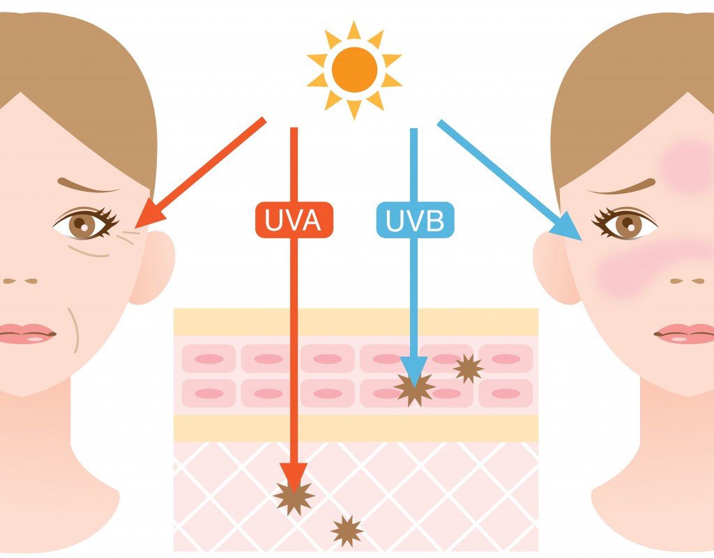 So schädigen UVB-UVA-Strahlen die Haut. (Bild: m0622-fotolia)