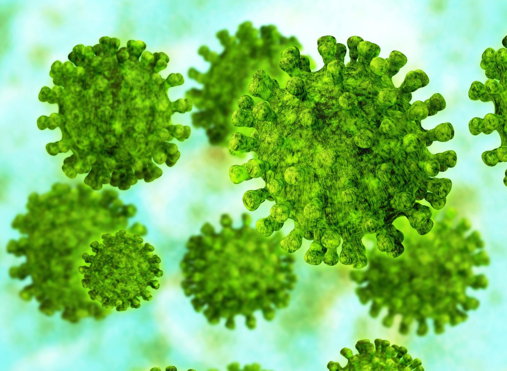 Bunthörnchen übertragen tödliches Virus. Bild: (Bild: fotoliaxrender/fotolia.com)