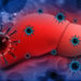 Gute Behandlungsmöglichkeiten bei Hepatitis. Bild: bluebay2014 - fotolia