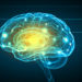 Gehirn aus dem Labor soll die Erforschung neuer Therapien erleichtern. (Bild: Sergey Nivens/fotolia.com)