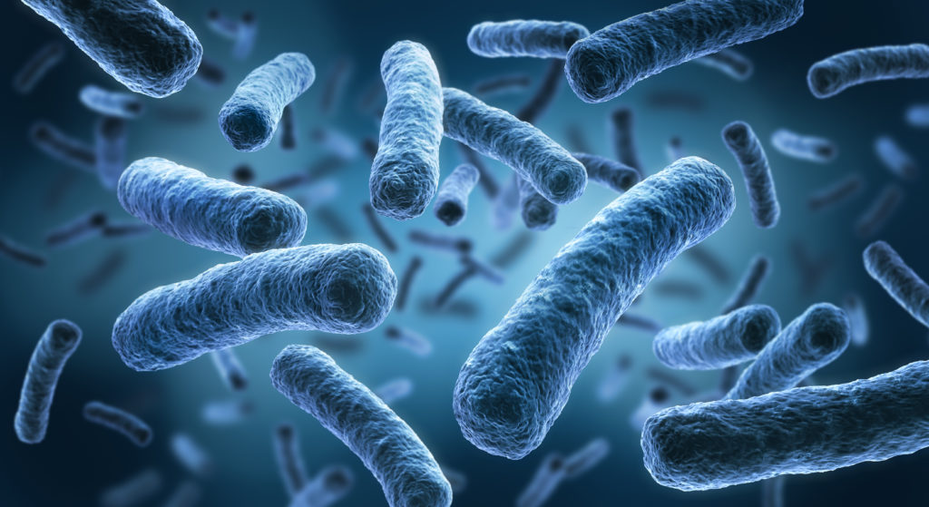 Bakterien der Gattung Legionella können schwere Lungenentzündungen verursachen. (Bild: psdesign1/fotolia.com)