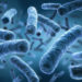 Bakterien der Gattung Legionella können schwere Lungenentzündungen verursachen. (Bild: psdesign1/fotolia.com)