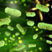 Eine Infektion mit Salmonellen führt zu starken, flüssigen Durchfällen. (Bild: fotoliaxrender/fotolia.com)