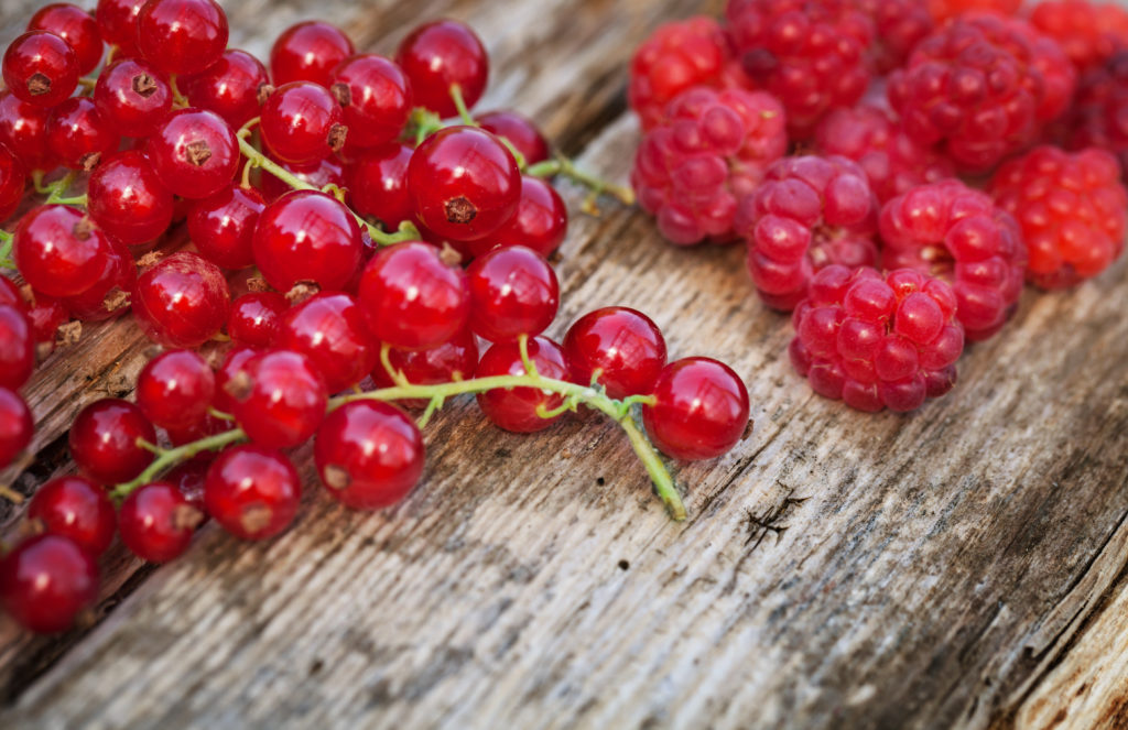 Johannisbeeren können länger haltbar gemacht werden. Bild: fotoknips - fotolia 