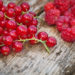 Johannisbeeren können länger haltbar gemacht werden. Bild: fotoknips - fotolia