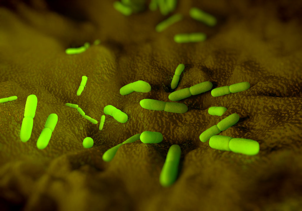 Noch heute infizieren sich jährlich zahlreiche Menschen mit Bakterien der Gattung Yersinia Pestis. (Bild: royaltystockphoto/fotolia.com)