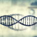 Die Entschlüsselung der Genome lässt auf neuen Ansätze für die Erklärung von Kranheiten hoffen. (Bild: Sergey Nivens/fotolia.com)