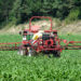 Die Landwirtschaft hat einen maßgeblichen Anteil an dem Eintrag von giftigen Chemikalen. (Bild: thongsee/fotolia.com)