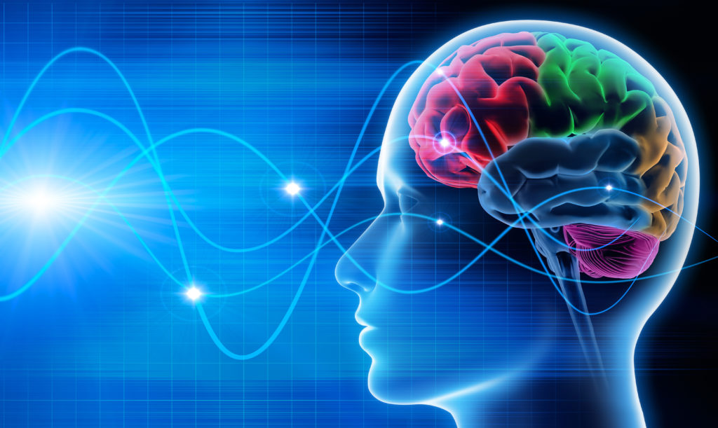 Die individuelle Gehirnaktivität kann zu Identifizierung genutzt werden. (Bild: psdesign1/fotolia.com)