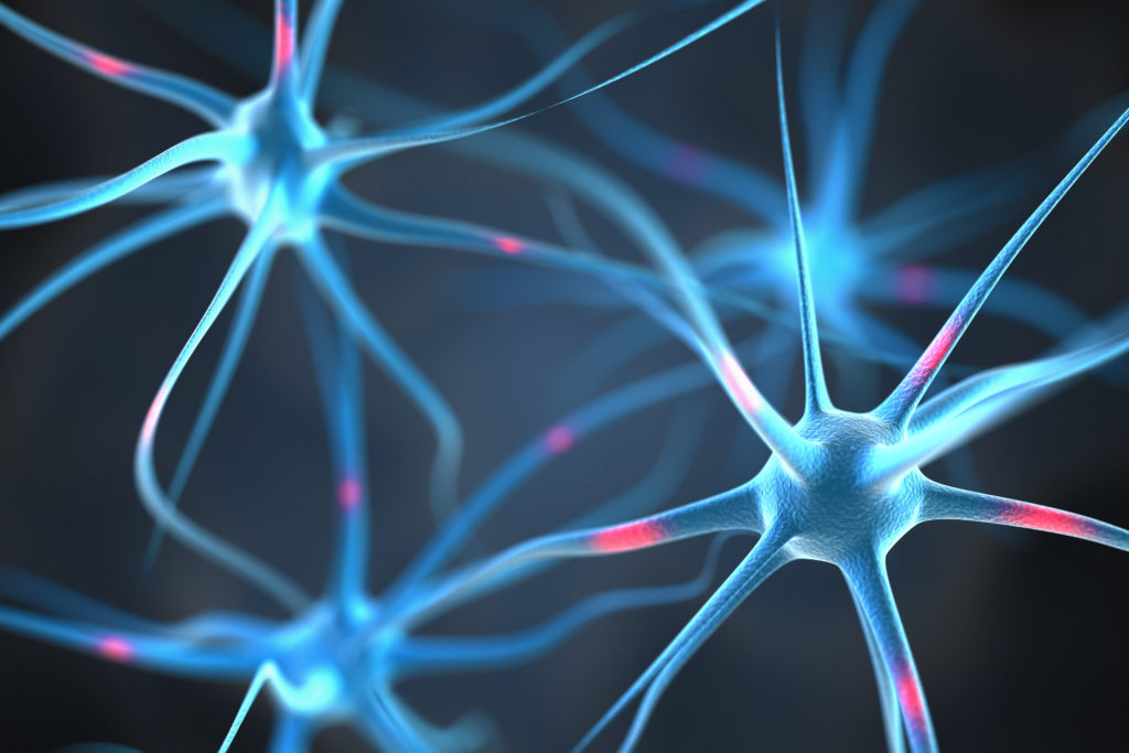 Die Aktivierungsmuster im Gehirn sind bei erhöhtem Alzheimer-Risiko frühzeitig verändet. (Bild: SSilver/fotolia.com)