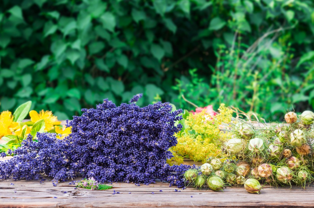 Lavendel und Johanniskraut: Beides wirksam bei depressiven Verstimmungen. Bild: fotoknips - fotolia