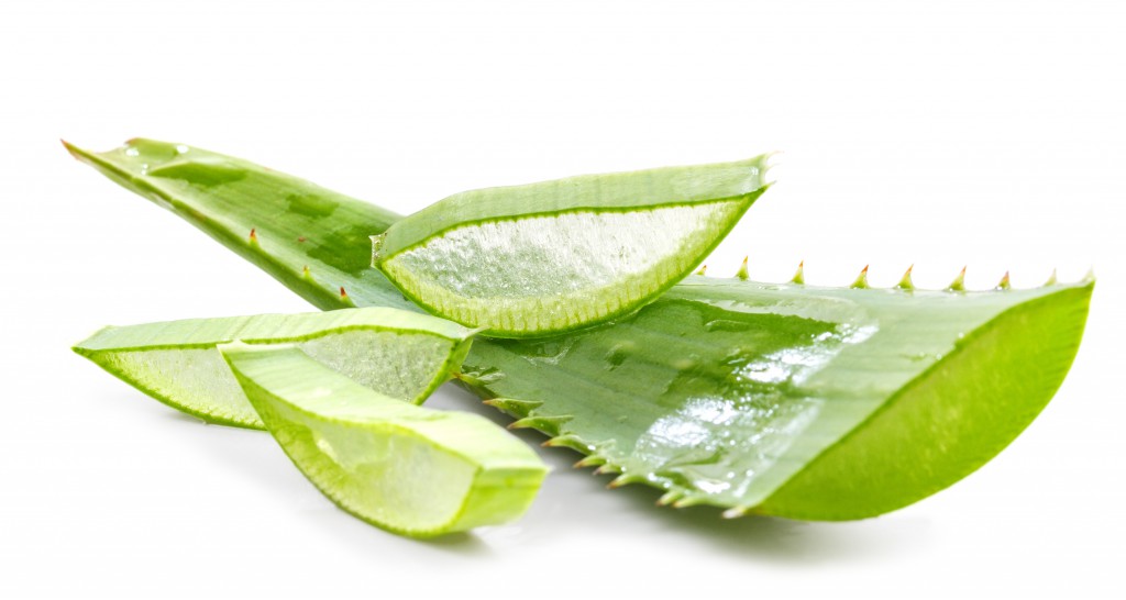 Aloe vera este un remediu de casă încercat și testat pentru arsurile minore.  (Imagine: g215 / fotolia.com)