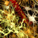 Die Vorläuferproteine der gefürchteten Plaques führen bereits zu veränderter Neurotransmitter-Aktivität. (Bild: Juan Gärtner/fotolia.com)