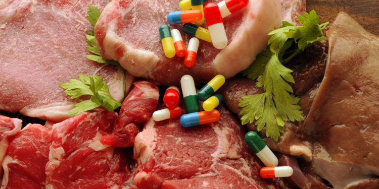 Antibiotika-Einsatz in der Tierhaltung gefährlich für die Kindergesundheit  – Heilpraxis