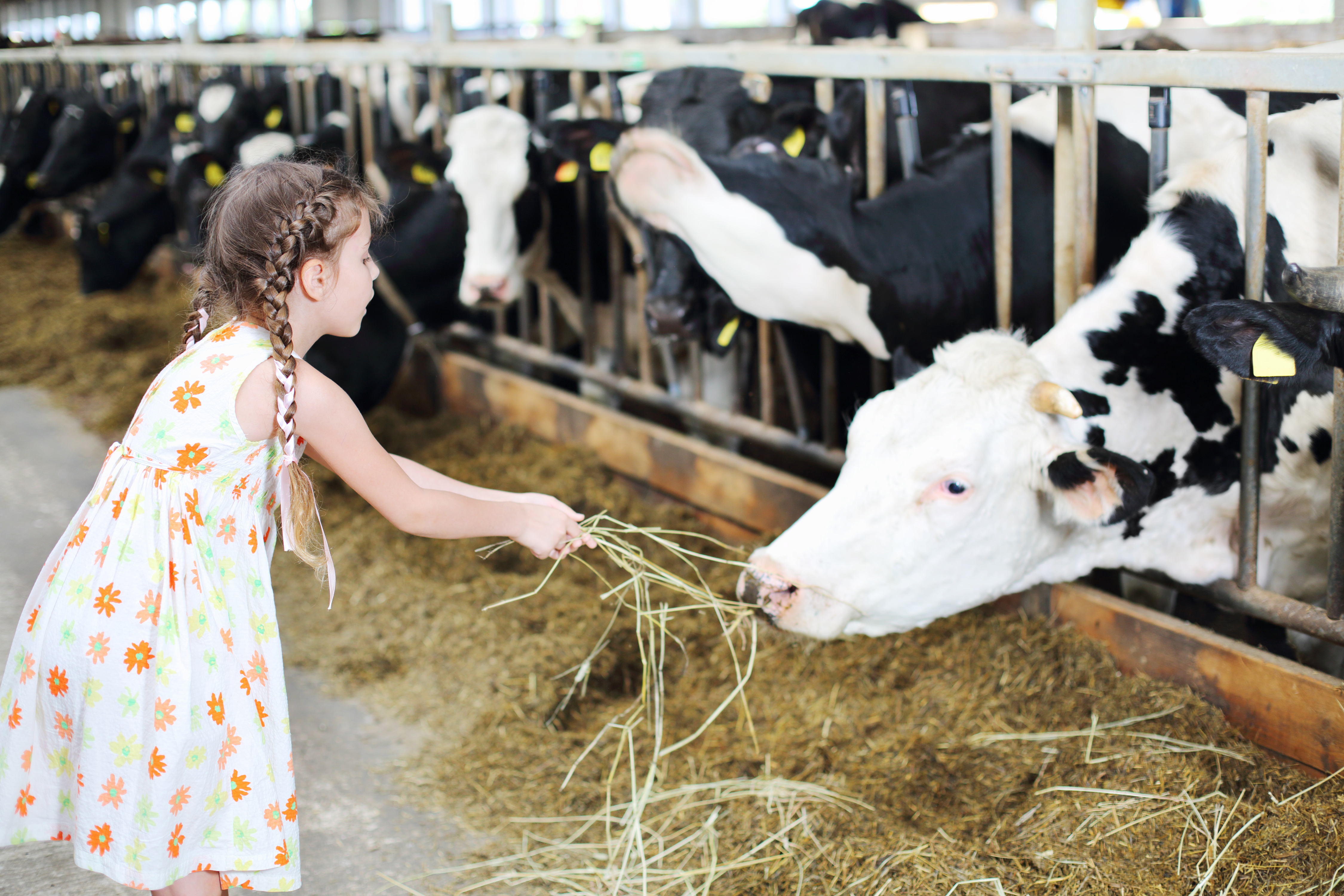 Farm Girl Jen