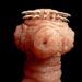 Der Kopf eine Bandwurms ist mit zahlreichen Widerhaken versehen, die dem Parasit in unserem Körper halt geben. Nun haben Forscher herausgefunden, dass Bandwürmer an der Entwicklung von Krebs beteiligt sein können. (Bild: Juan Gärtner/fotolia.com)
