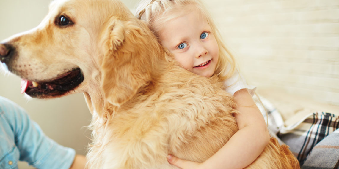 AktuelleStudie Hunde sind neue Überträger von aggressiven Influenza