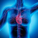 Eine kranhafte Verdickung des Herzmuskels kann zu Herzschwäche mit tödlicher Folge führen. (Bild: psdesign1/fotolia.com)
