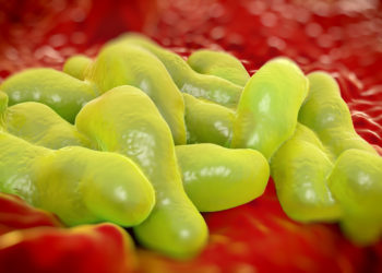 Obwohl Campylobacter der häufigste bakterielle Erreger von Durchfallerkrankungen ist, ist der Küchenkeim nur wenigen Menschen bekannt. (Bild: royaltystockphoto/fotolia.com)