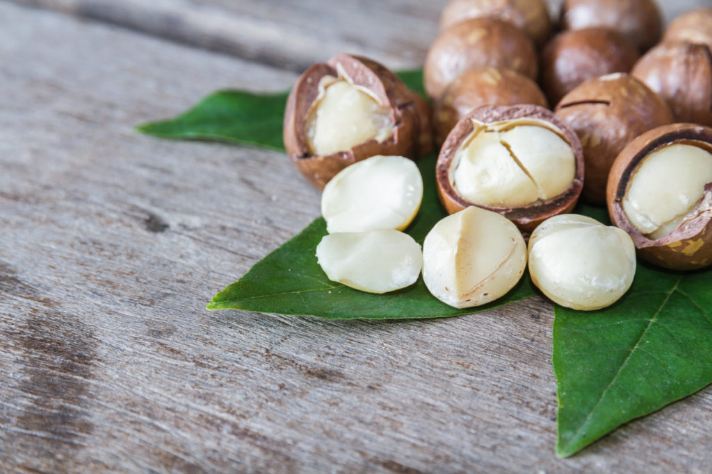 Macadamia sind sehr gesund. Bild: suksao - fotolia